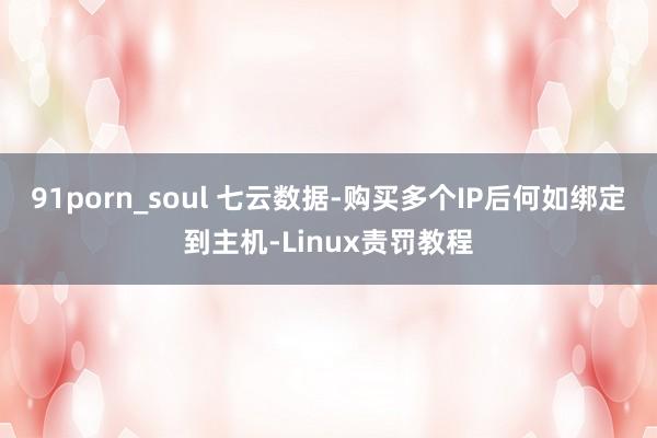 91porn_soul 七云数据-购买多个IP后何如绑定到主机-Linux责罚教程
