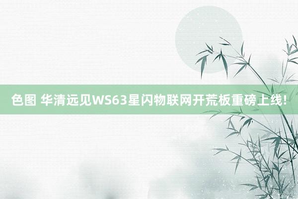 色图 华清远见WS63星闪物联网开荒板重磅上线!