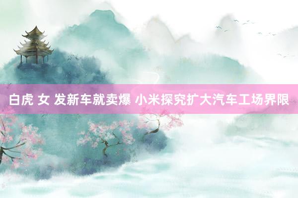 白虎 女 发新车就卖爆 小米探究扩大汽车工场界限